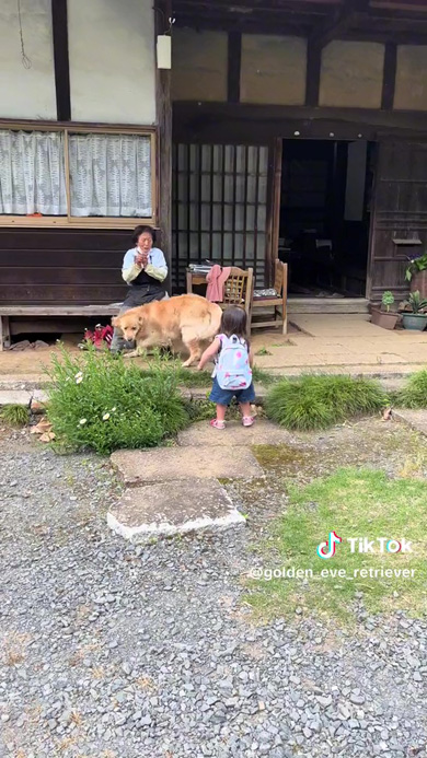 あいさつするワンコ