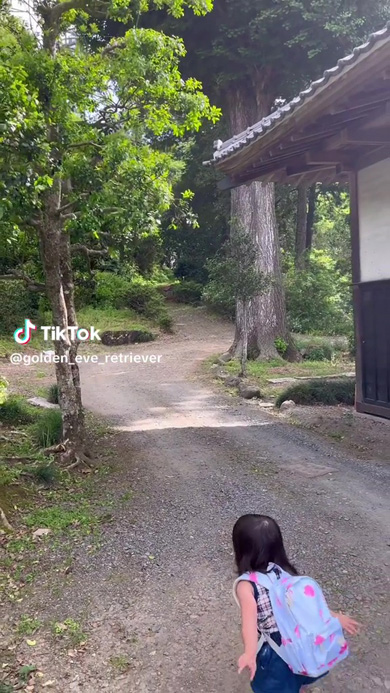 名前を呼ばれるワンコ