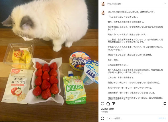 遠野なぎこInstagram