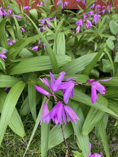 森の中で発見した謎のモノ、正体に見解集まる