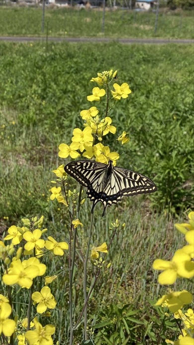 森の中で発見した謎のモノ、正体に見解集まる