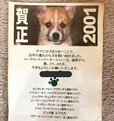 亡くなった父親、やたらいぬねこの名前付けの才があった