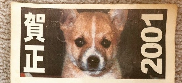 亡くなった父親、やたらいぬねこの名前付けの才があった