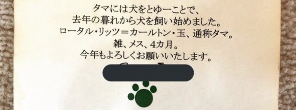 亡くなった父親、やたらいぬねこの名前付けの才があった