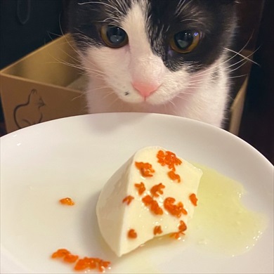 亡くなった父親、やたらいぬねこの名前付けの才があった