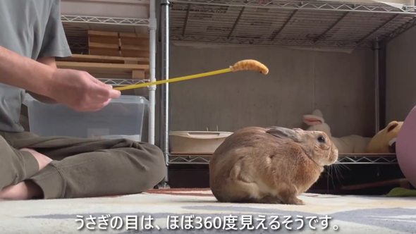 おすすめ