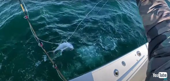 レンチで釣り