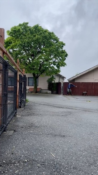 仔ヒツジの出勤チャレンジ