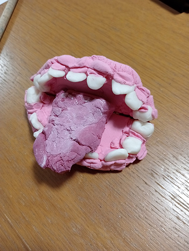 リアルな口斜め前から