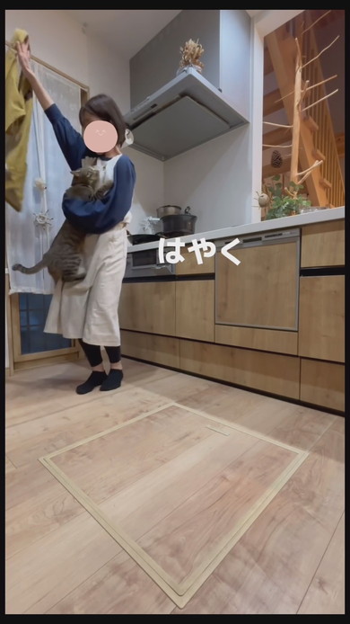 今抱っこしてほしい猫ちゃんが飼い主さんに飛びつく様子