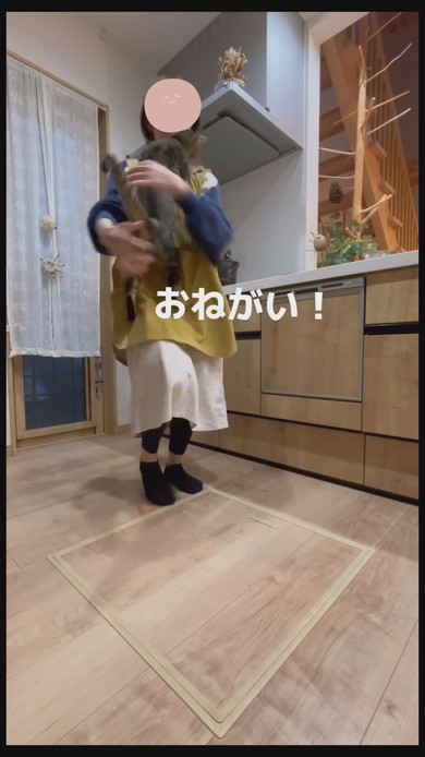 今抱っこしてほしい猫ちゃんが飼い主さんに飛びつく様子