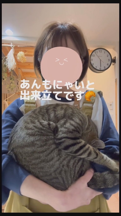 今抱っこしてほしい猫ちゃんが飼い主さんに飛びつく様子