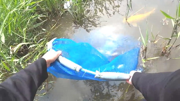 追い詰める作戦