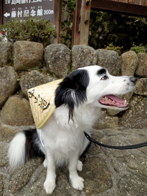 中山道