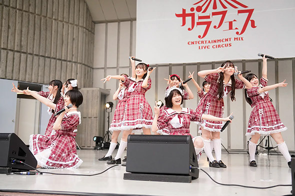 かすみ草とステラ