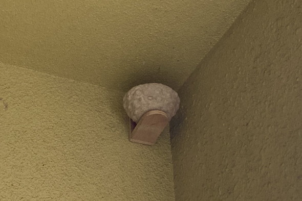 ツバメのためのダミーの巣