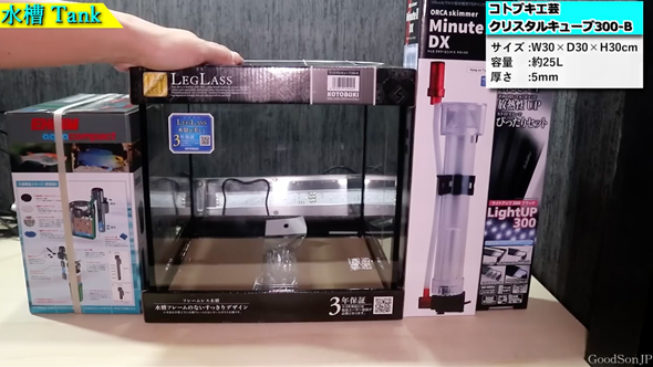 パープルリーフロブスターの飼育の記録