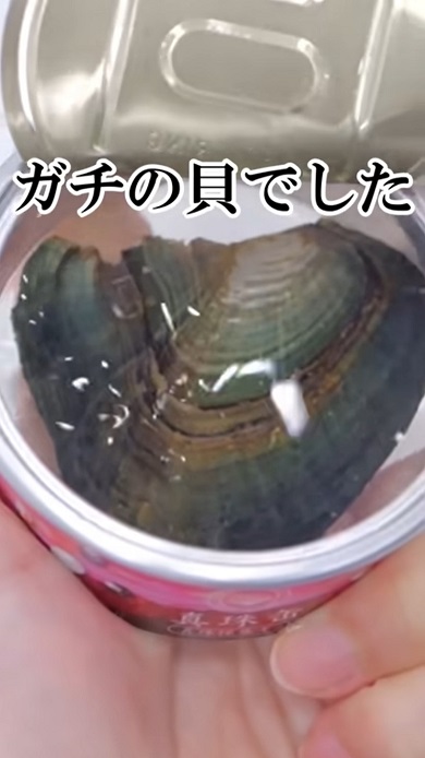 駄菓子屋で売っていた謎の缶詰の中身は真珠貝