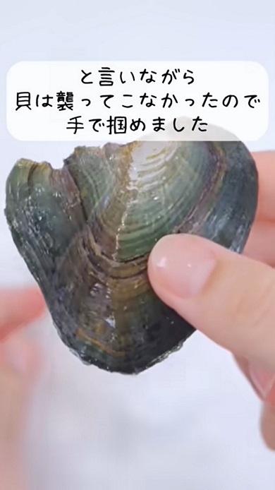 缶詰の中身である真珠貝を素手でつまむ