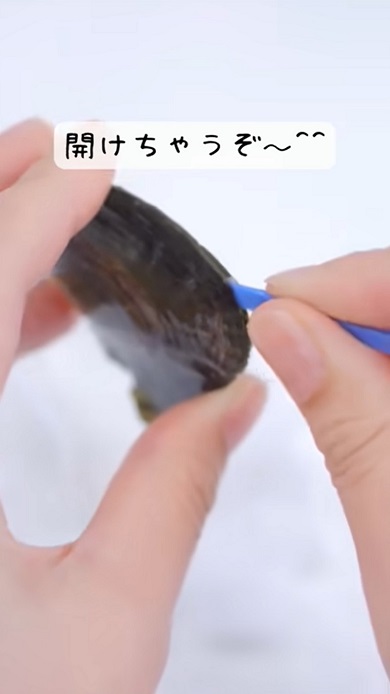 缶詰の中身である真珠貝から真珠を取り出す作業