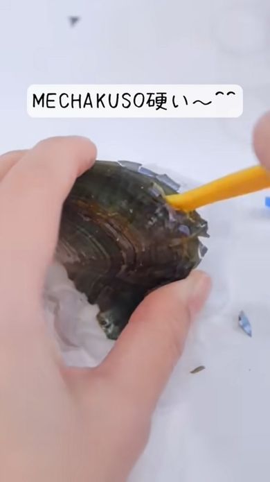 缶詰の中身である真珠貝から真珠を取り出す作業