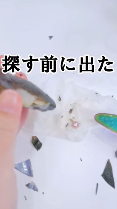 缶詰の中身である真珠貝から真珠を取り出す作業
