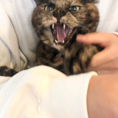 必死に抵抗するぼんちゃん