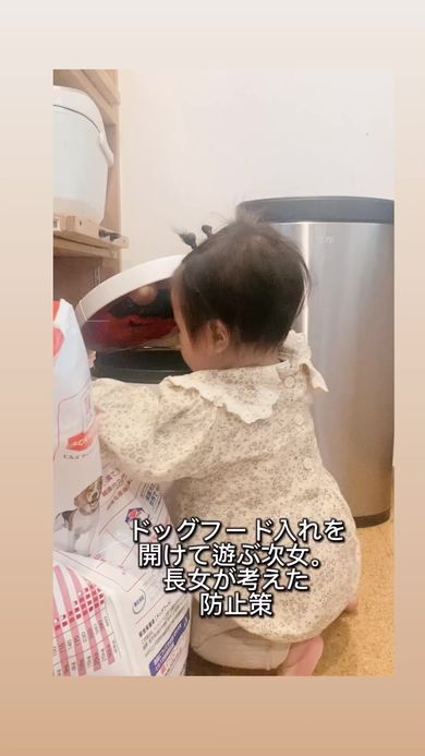 ドッグフードが入った容器を開けてイタズラしてしまう末っ子の赤ちゃん