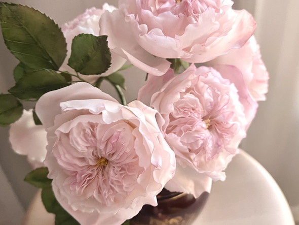 吉田ななこさんのバラをモチーフにしたシュガークラフト作品