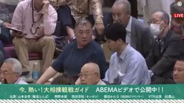 大相撲に山本圭壱