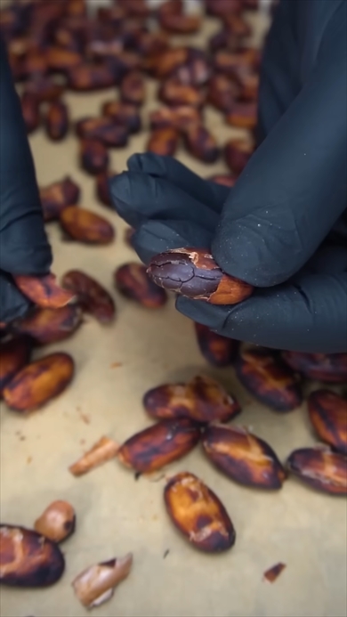 カカオ100％のチョコレートの作り方