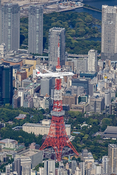 飛行機の空撮写真