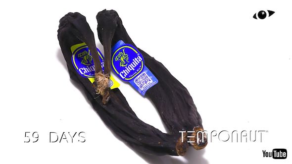 60日後のバナナ