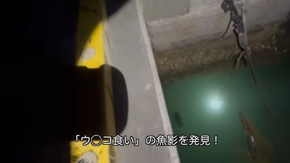 生物ライターの平坂寛が「ウンコ食い」を捕まえる瞬間