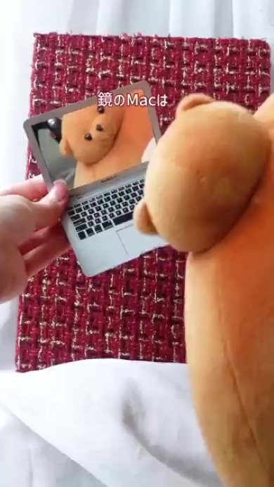 鏡に映るぬいぐるみ