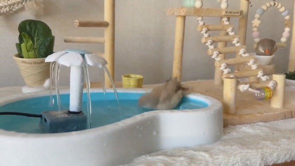 セミオーダーした小鳥のテーマパークの様子