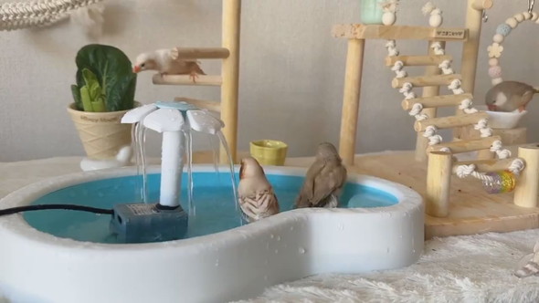 セミオーダーした小鳥のテーマパークの様子