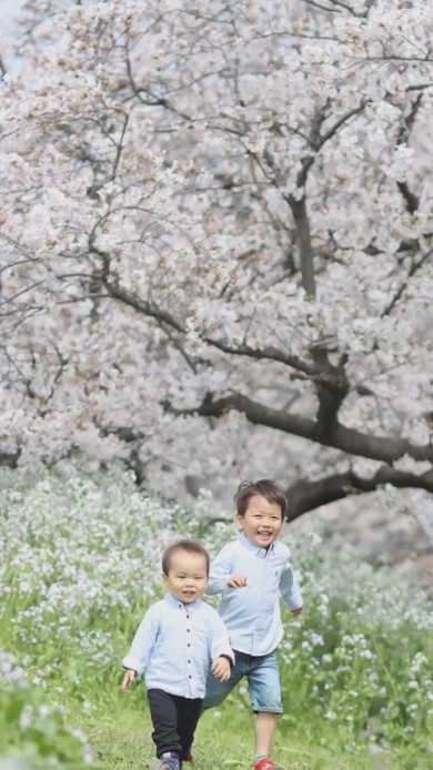 桜の木の下を駆ける幼い兄弟の姿