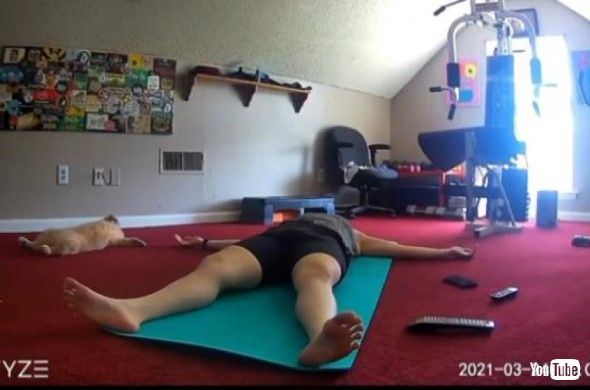 飼い主と一緒にヨガのポーズをする猫