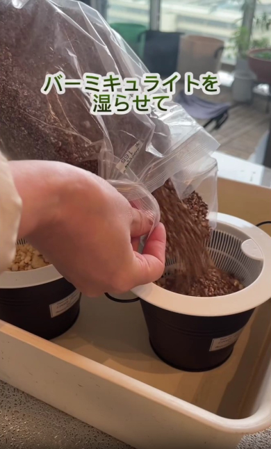 土を湿らせる