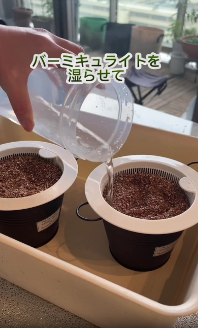 土を湿らせる