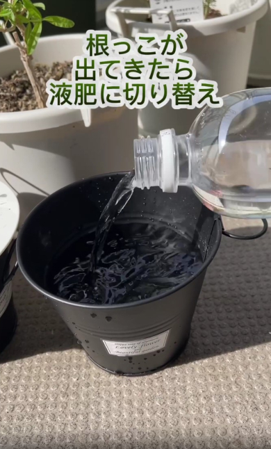 液体肥料を入れたブリキ缶
