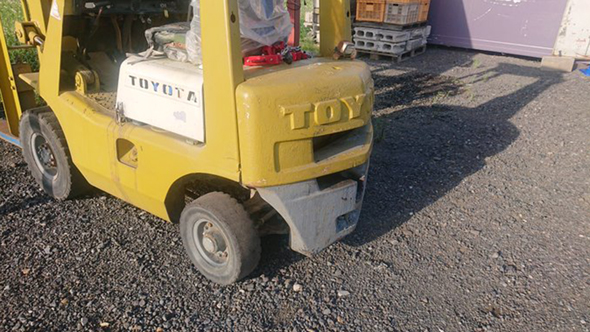 驚きの場所に巣を作ったセキレイ