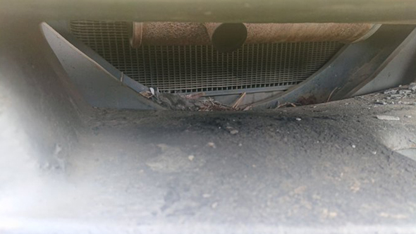 驚きの場所に巣を作ったセキレイ