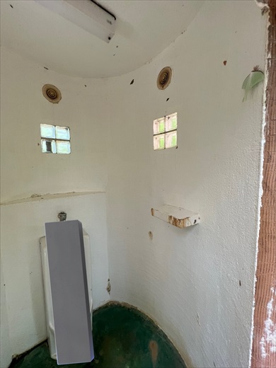 夫が男子トイレで発見した幸運の虫