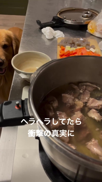 おすすめ