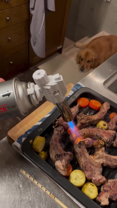 スペアリブを見つめるワンコ