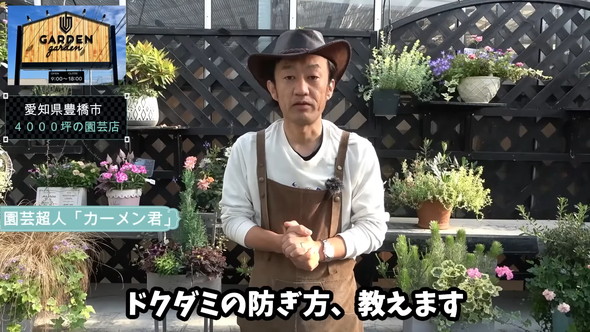 おすすめ