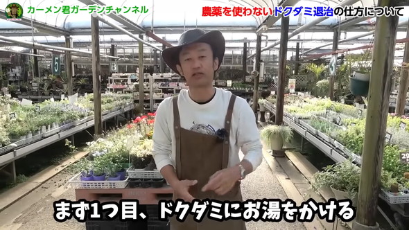 ドクダミの繁殖を除草剤なしで防ぐ方法の解説