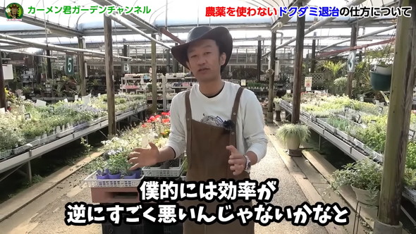 ドクダミの繁殖を除草剤なしで防ぐ方法の解説